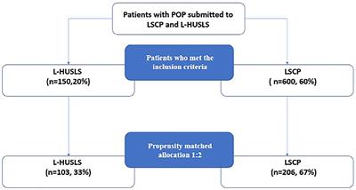 Laparoscopic High Uterosacral Ligament Suspension vs. Laparoscopic Sacral Colpopexy for Pelvic Organ Prolapse: A Case-Control Study